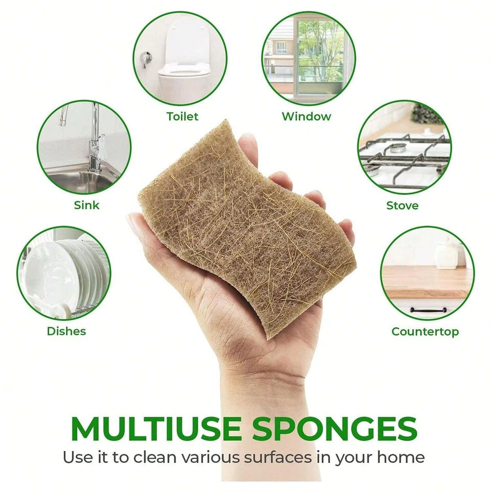12-Pack Natural Biodegradable Eco-Friendly Kitchen Sponges