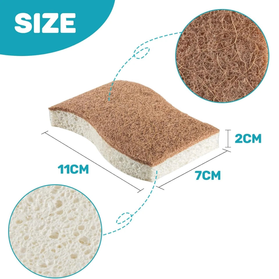 12-Pack Natural Biodegradable Eco-Friendly Kitchen Sponges