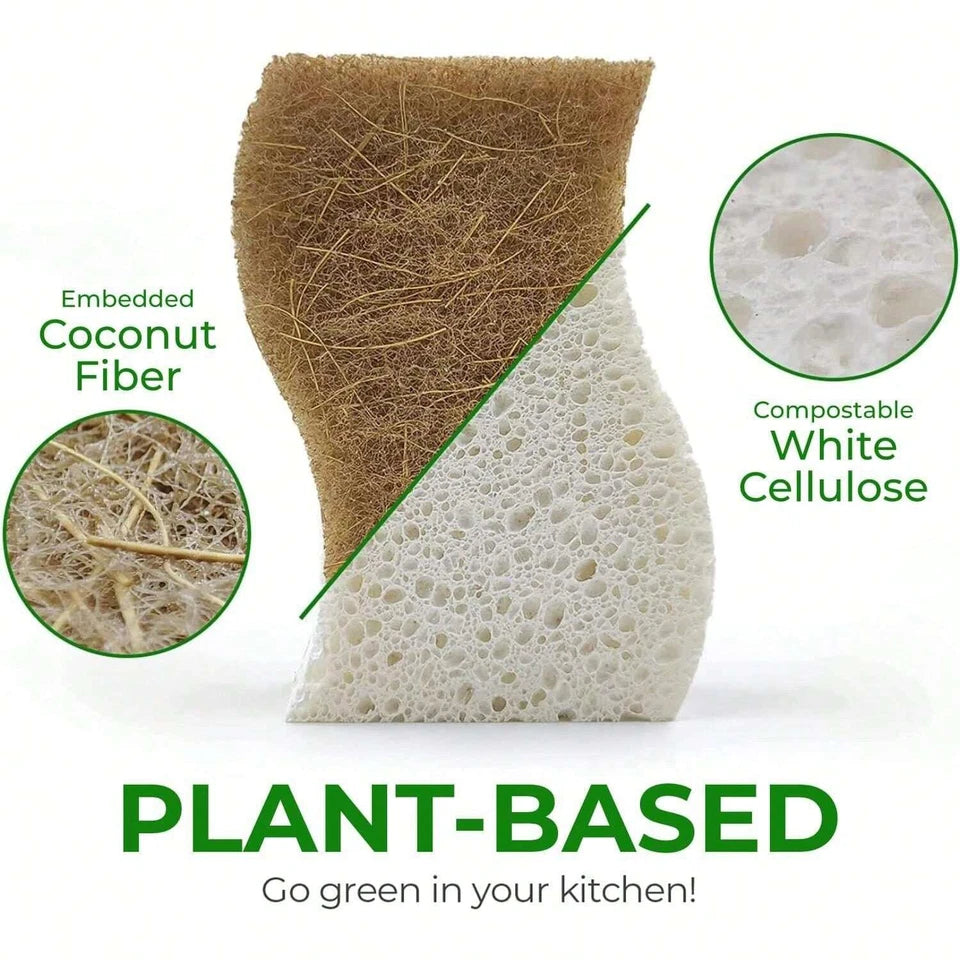12-Pack Natural Biodegradable Eco-Friendly Kitchen Sponges