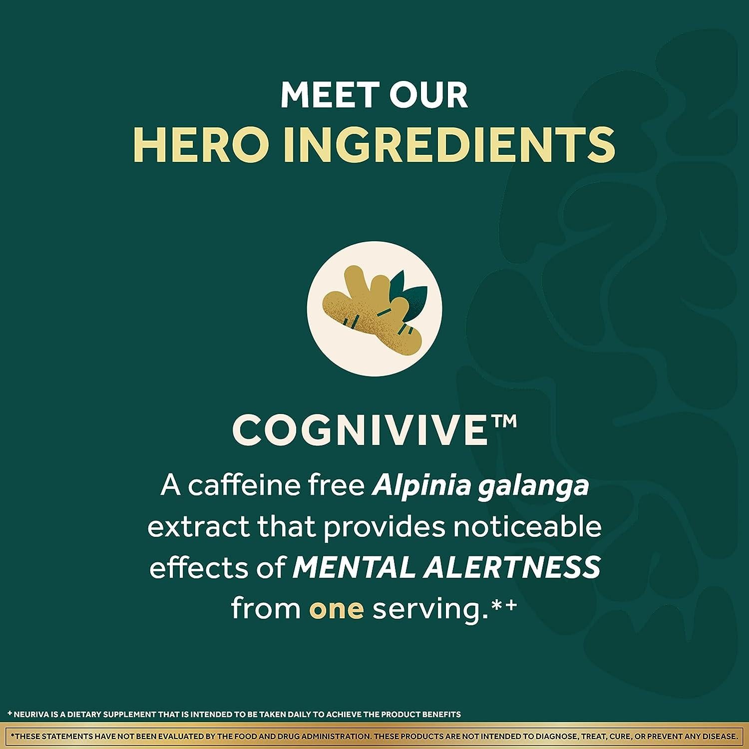 NEURIVA Ultra Nootropic Brain Supplement - Memory, Focus, 60 Caps